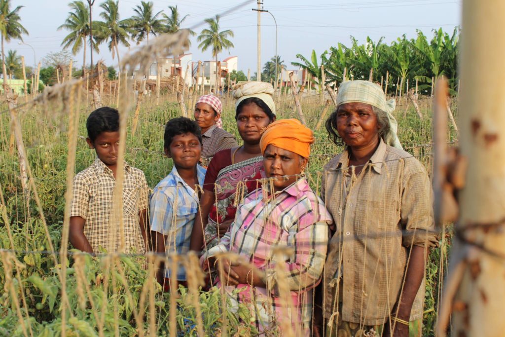 Children | Ecofriendly Living | Sustainable Lifestyle | Zero Waste Life | Plantcil | Pepaa | Plantable Pencils | Seed Pens