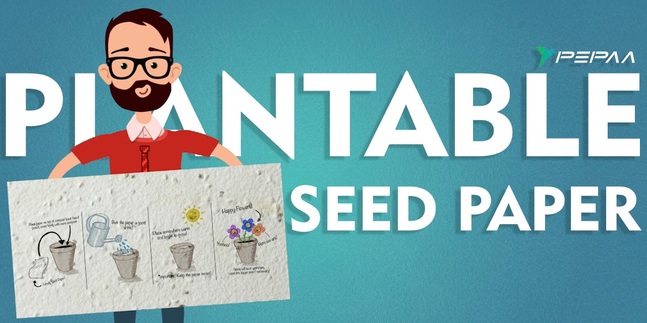 How to make seed paper that's plantable & biodegradable!  Seed paper, Plantable  seed paper, Biodegradable products